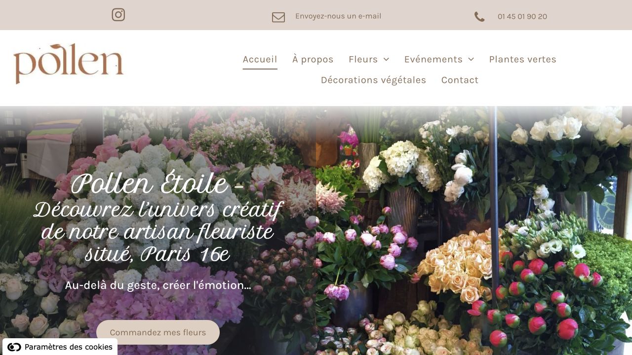 Capture du site de Pollen Étoile