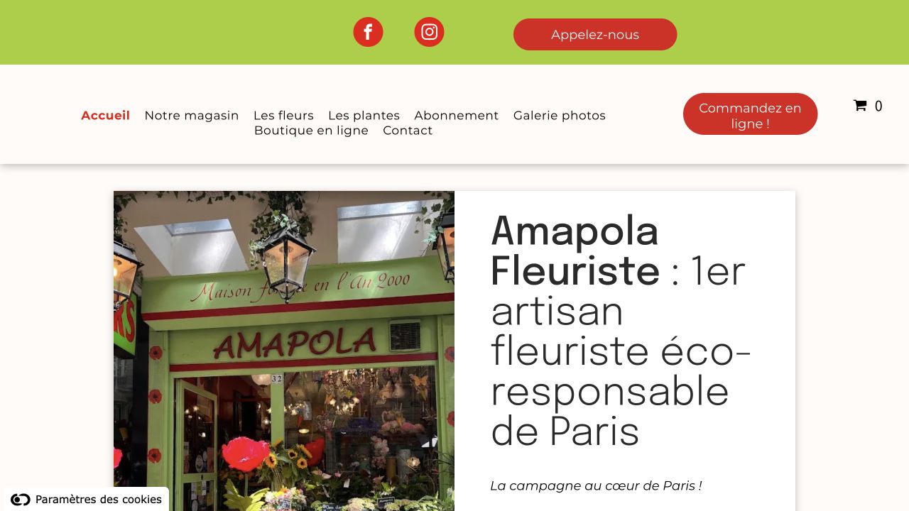 Capture du site de Amapola Fleuriste