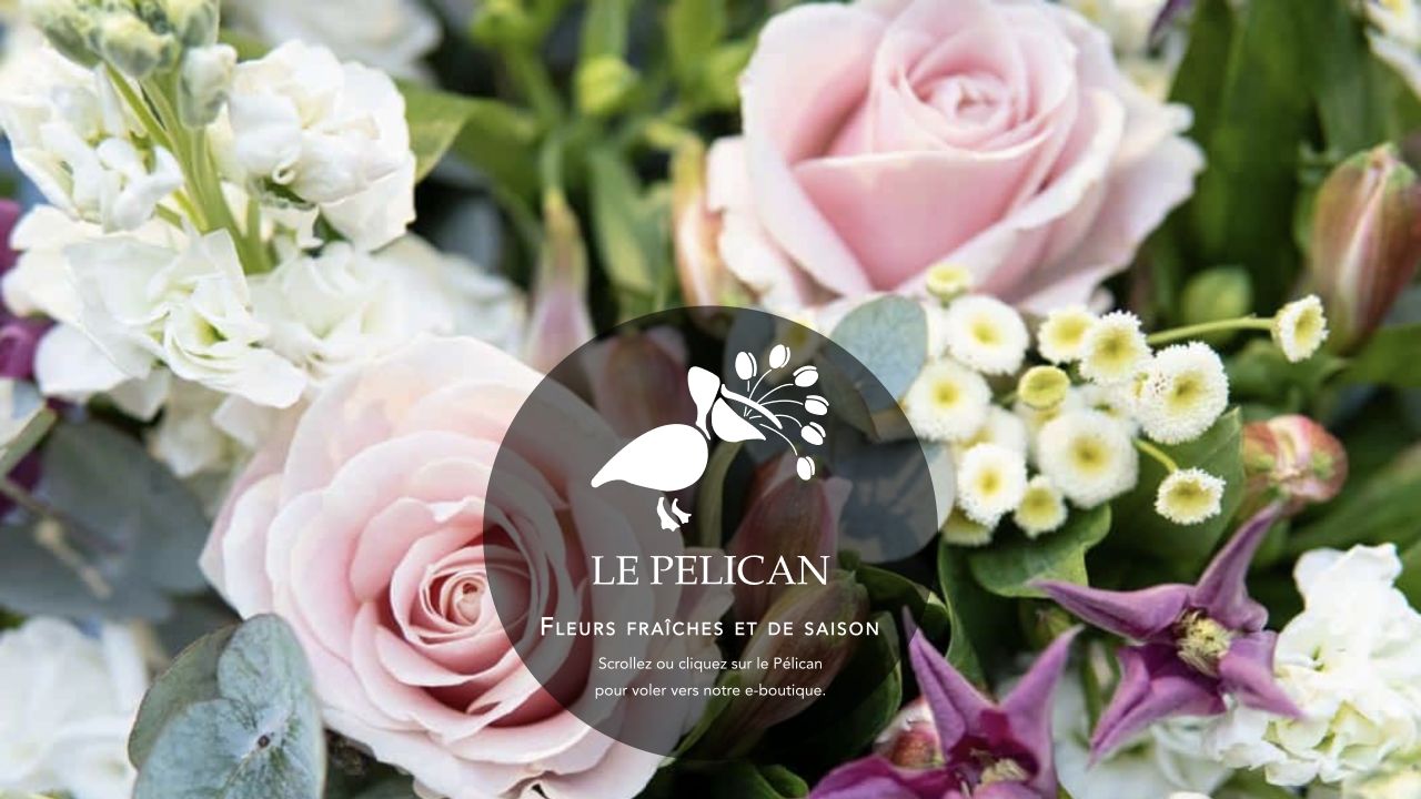 Capture du site de Pelican Fleurs